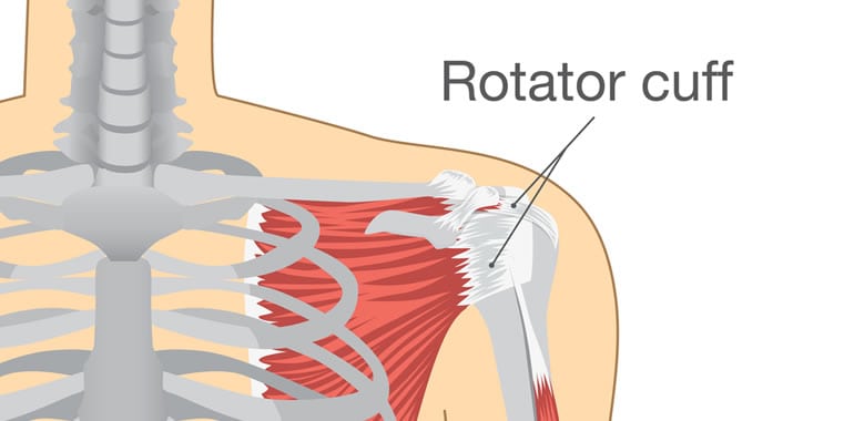 Rotator Cuff Exercises